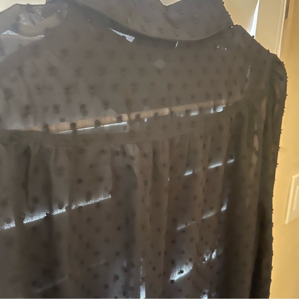 Modcloth Black Long-Sleeve Sheer Polka Dot Blouse, Small - Picture 12 of 12